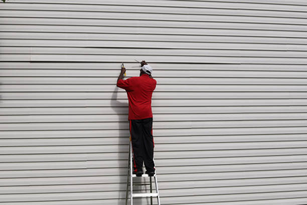 Affordable Siding Repair and Maintenance Services in Houma, LA